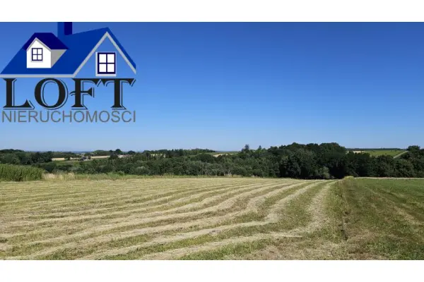 wadowicki, Tomice, Witanowice, Witamowice działka rolno budowlana o pow 78a